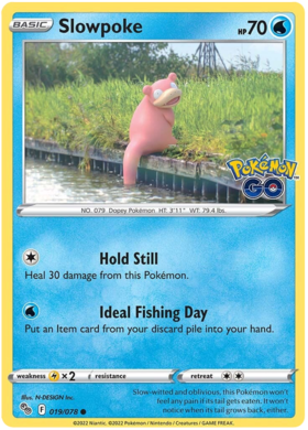 Sword & Shield Pokemon GO Card 19