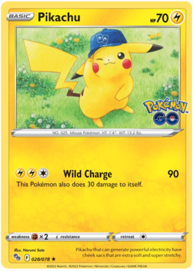 Sword & Shield Pokemon GO Card 28