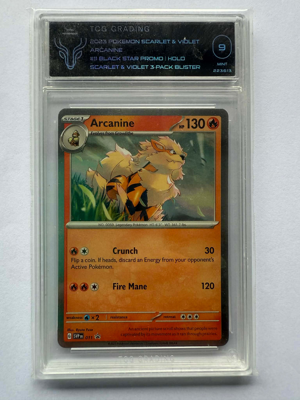 Scarlet & Violet Black Star Promos - Card #11 - Arcanine - Mint 9