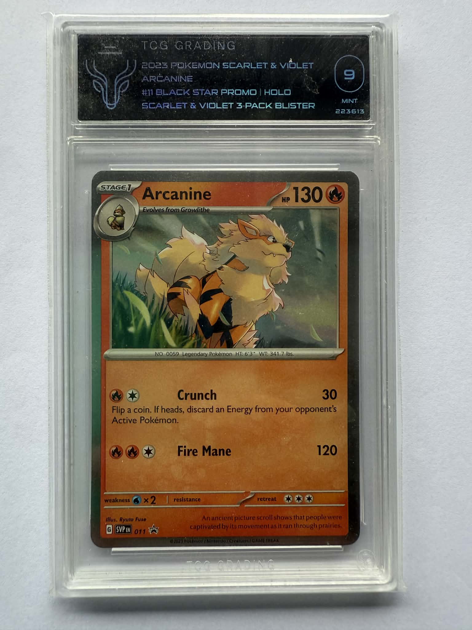 Scarlet & Violet Black Star Promos - Card #11 - Arcanine - Mint 9