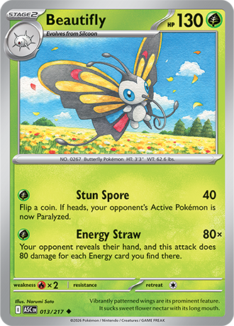 Ascended Heroes Card 13