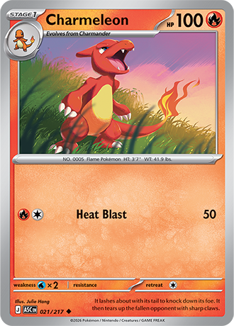 Ascended Heroes Card 21