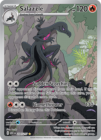 Ascended Heroes Card 224