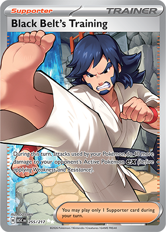 Ascended Heroes Card 255