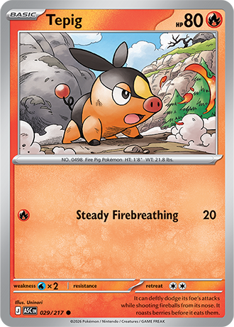 Ascended Heroes Card 29