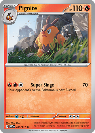 Ascended Heroes Card 30