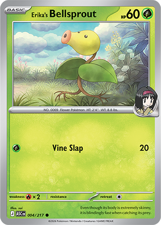 Ascended Heroes Card 4