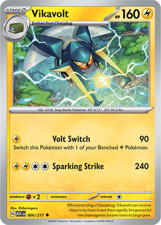 Ascended Heroes Card 66
